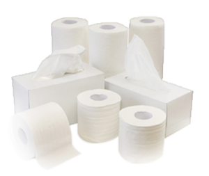 Toilet-Tissue